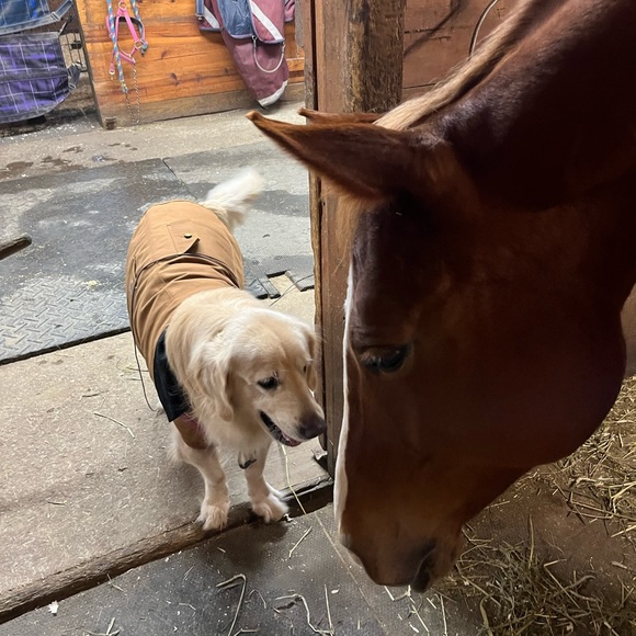 Meet your Posher, Lindsey - Picture 6 of 7